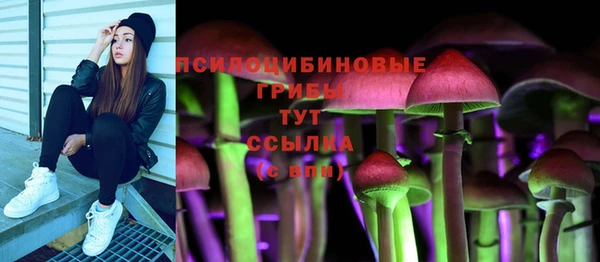 гашик Армянск