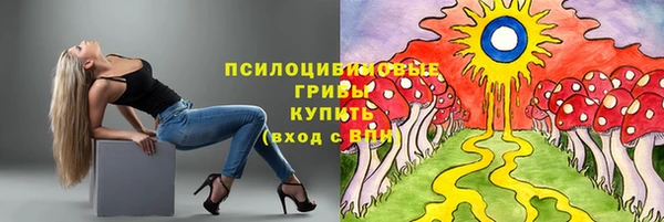 гашик Армянск