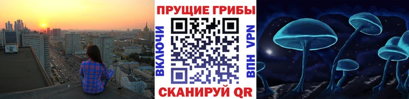 маркетплейс состав Учалы Псилоцибиновые грибы ЛСД mega сайт